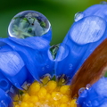 Fauna en Flora