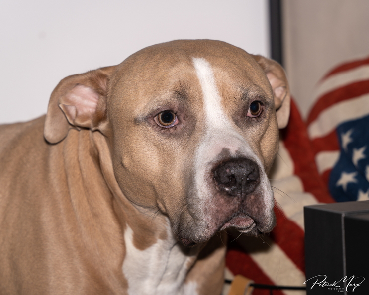 20211205_Buddy_00151.jpg
