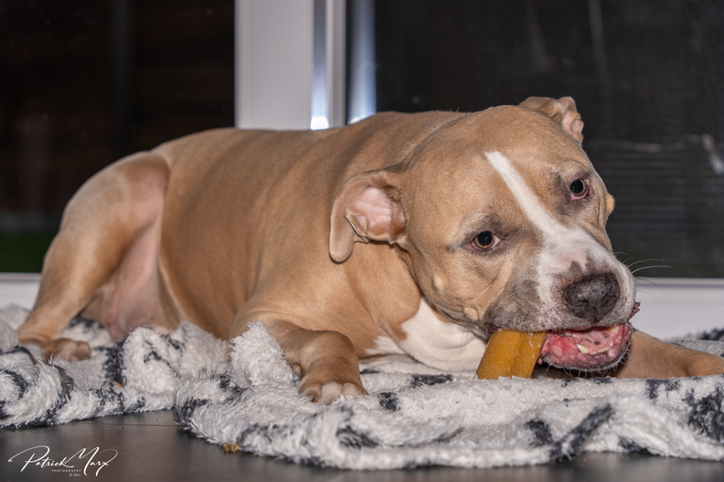 20211205_Buddy_00153.jpg