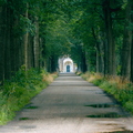 Landschappen