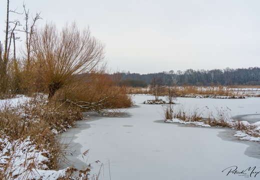 20230122_104153_De Luysen