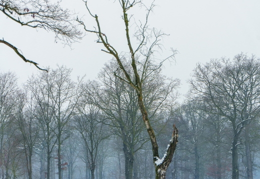 20230122_104196_De Luysen